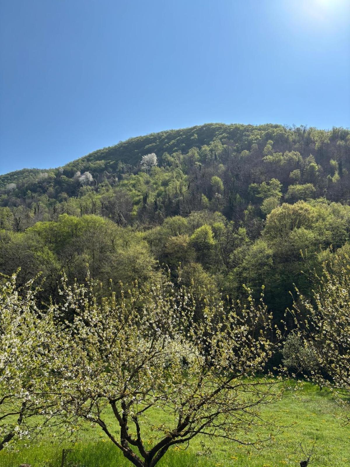 Biancogelso B&B Vegan Gardone Riviera Esterno foto