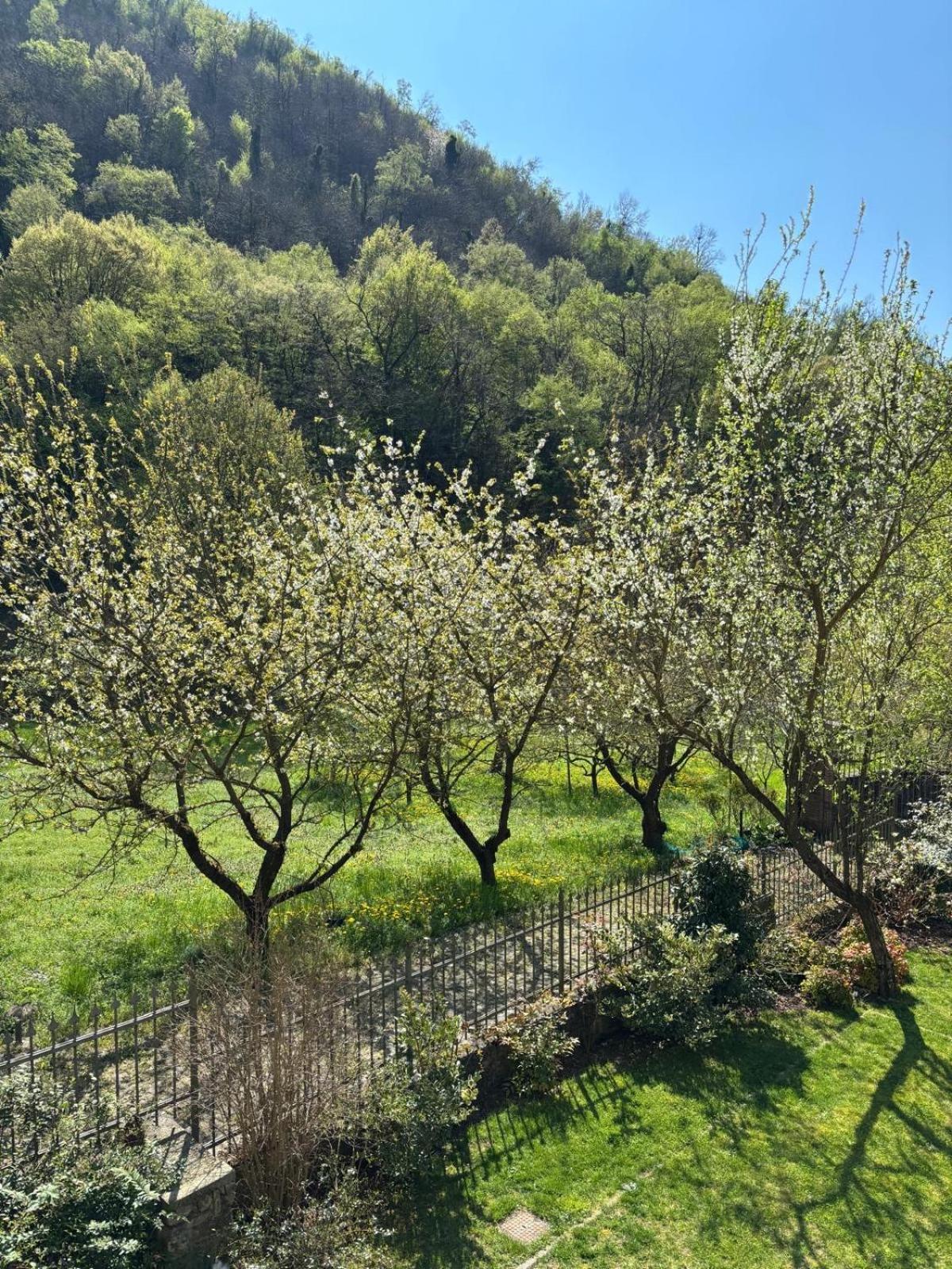 Biancogelso B&B Vegan Gardone Riviera Esterno foto
